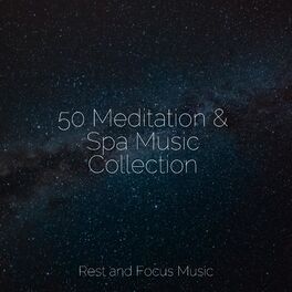 Album cover of 50 Meditation & Spa Music Collection