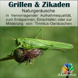 Album cover of Grillen & Zikaden, Naturgeräusche in hervorragender Aufnahmequalität zum Entspannen, Einschlafen oder zur Milderung von Tinnitus-G