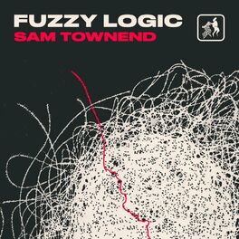 Album cover of Fuzzy Logic