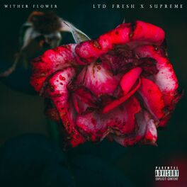 Album cover of Wither Flower