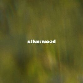 Album cover of silverwood