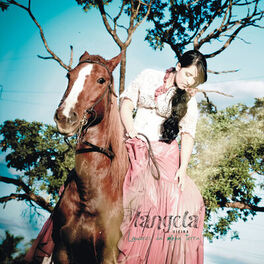 Album cover of Louvores da Minha Terra