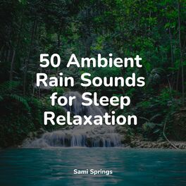 Album cover of 50 Ambient Rain Sounds for Sleep Relaxation
