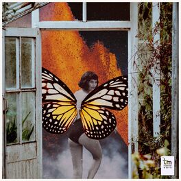 Album cover of Samba de Fim de Tarde