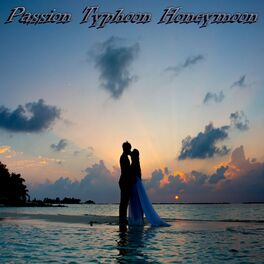Album cover of Passion Typhoon Honeymoon