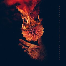Album cover of Lights & Fire