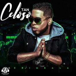 Album cover of Tan Celoso