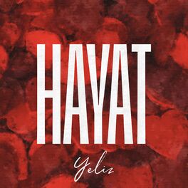 Album cover of Hayat