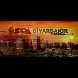 Album cover of Diyarbakir (Instrumental)