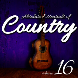 Album cover of Absolute Essentials of Country, Vol. 16