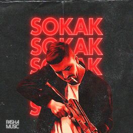 Album cover of Sokak