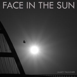 Album cover of Face in the Sun