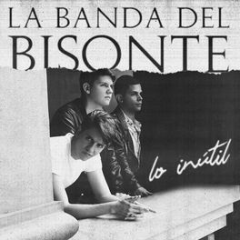 Album cover of Lo Inútil
