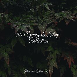 Album cover of 50 Spring & Sleep Collection