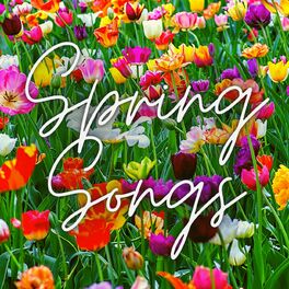 Nina Simone Feeling Good Simon Field Remix Extended Mix Listen With Lyrics Deezer