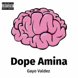 Album cover of Dope Amina