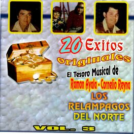 Album cover of 20 Éxitos Originales, Vol. 3
