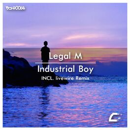 Album cover of Industrial Boy
