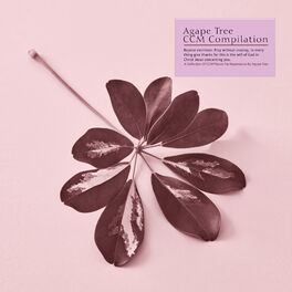 Album cover of A Collection Of CCM Pianos For Repentance By Agape Tree