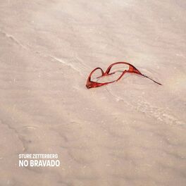 Album cover of No Bravado
