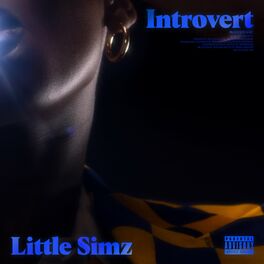Album cover of Introvert