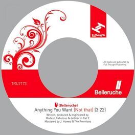 Album cover of Anything You Want (Not That)