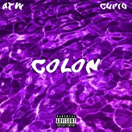 Album cover of Colon (feat. Cupid)