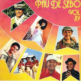 Album cover of Pau de Sebo, Vol. XV
