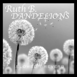 Album picture of Dandelions (slowed + reverb)
