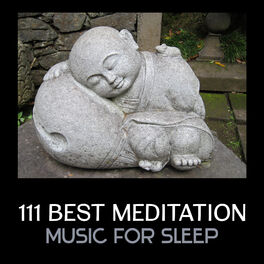 Album cover of 111 Best Meditation Music for Sleep – Relaxing Ambient Sounds for Total Rest, Mind Body Connection Before Sleep, Peaceful Dreams