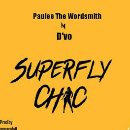 Album cover of Superfly Chic (feat. DVO)
