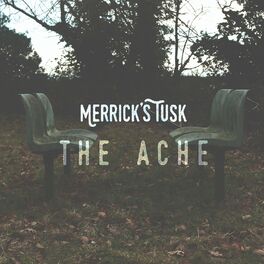 Album cover of The Ache