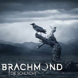 Album cover of Die Schlacht