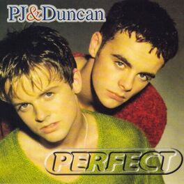 Album cover of Perfect