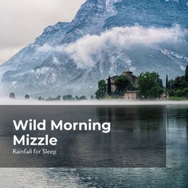Album cover of Wild Morning Mizzle