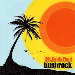 Album cover of Bush Rock