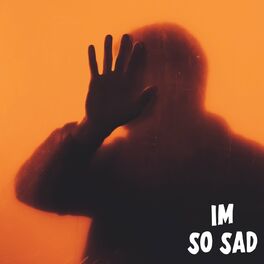 Album cover of I'm So Sad