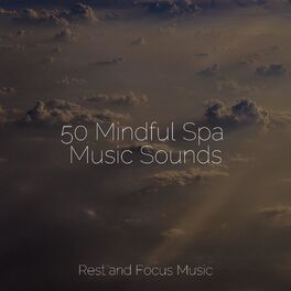 Album cover of 50 Mindful Spa Music Sounds