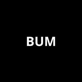 Album cover of bum