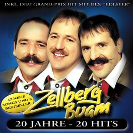 Album cover of 20 Jahre - 20 Hits