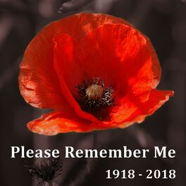 Album cover of Please Remember Me
