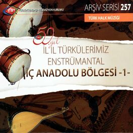 Album cover of 50. Yıla Özel İl İl Türkülerimiz-Enstrumantal ''İç Anadolu Bölgesi-1''