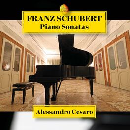 Album cover of Franz Schubert Piano Sonatas