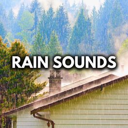 Album cover of Rain On A Tin Roof (Loop Any Track All Night)