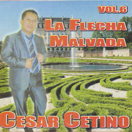 Album cover of La Flecha Malvada