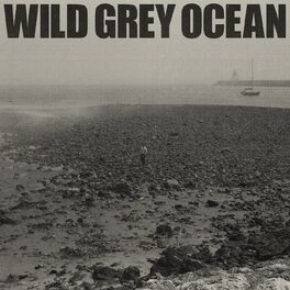Album cover of Wild Grey Ocean