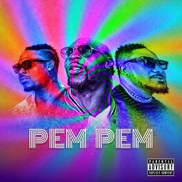Album cover of Pem Pem (feat. Benjicavalli & Masterkraft)