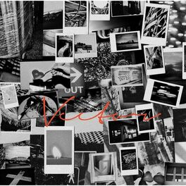 Album cover of VECTOR