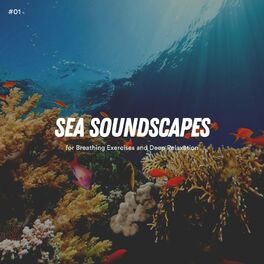 Album cover of #01 Sea Soundscapes for Breathing Exercises and Deep Relaxation