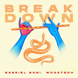 Album cover of Break Down